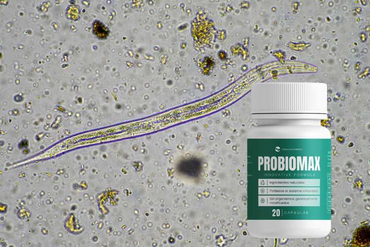 Probiomax para que sirve